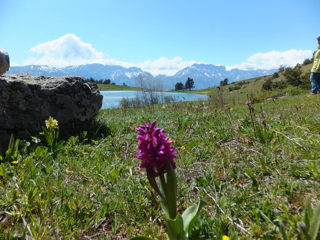 فندق Vvf Les Ecrins Champsaur سانت بونيت ين شامبسور المظهر الخارجي الصورة